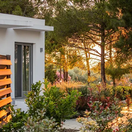 4 Roses Pool 别墅 *