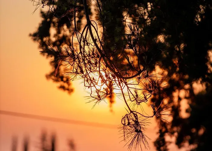 4 Roses Pool 里托楚伦