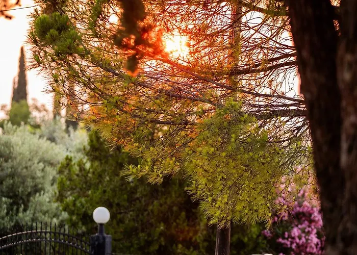 4 Roses Pool 别墅 *