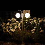 4 Roses Pool