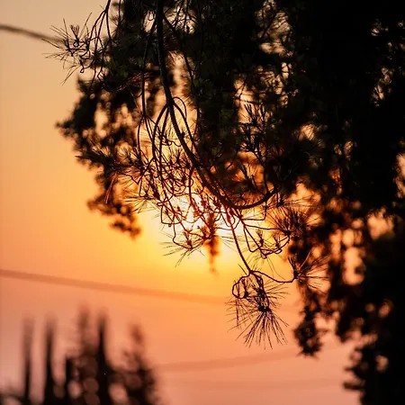 4 Roses Pool Litochoro