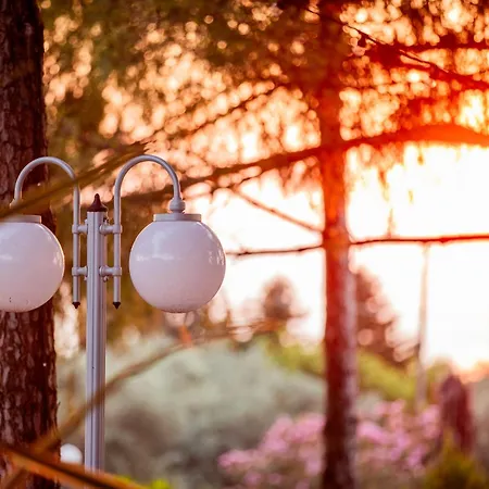 4 Roses Pool Litochoro